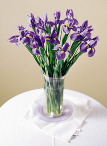 purplefowers.jpg